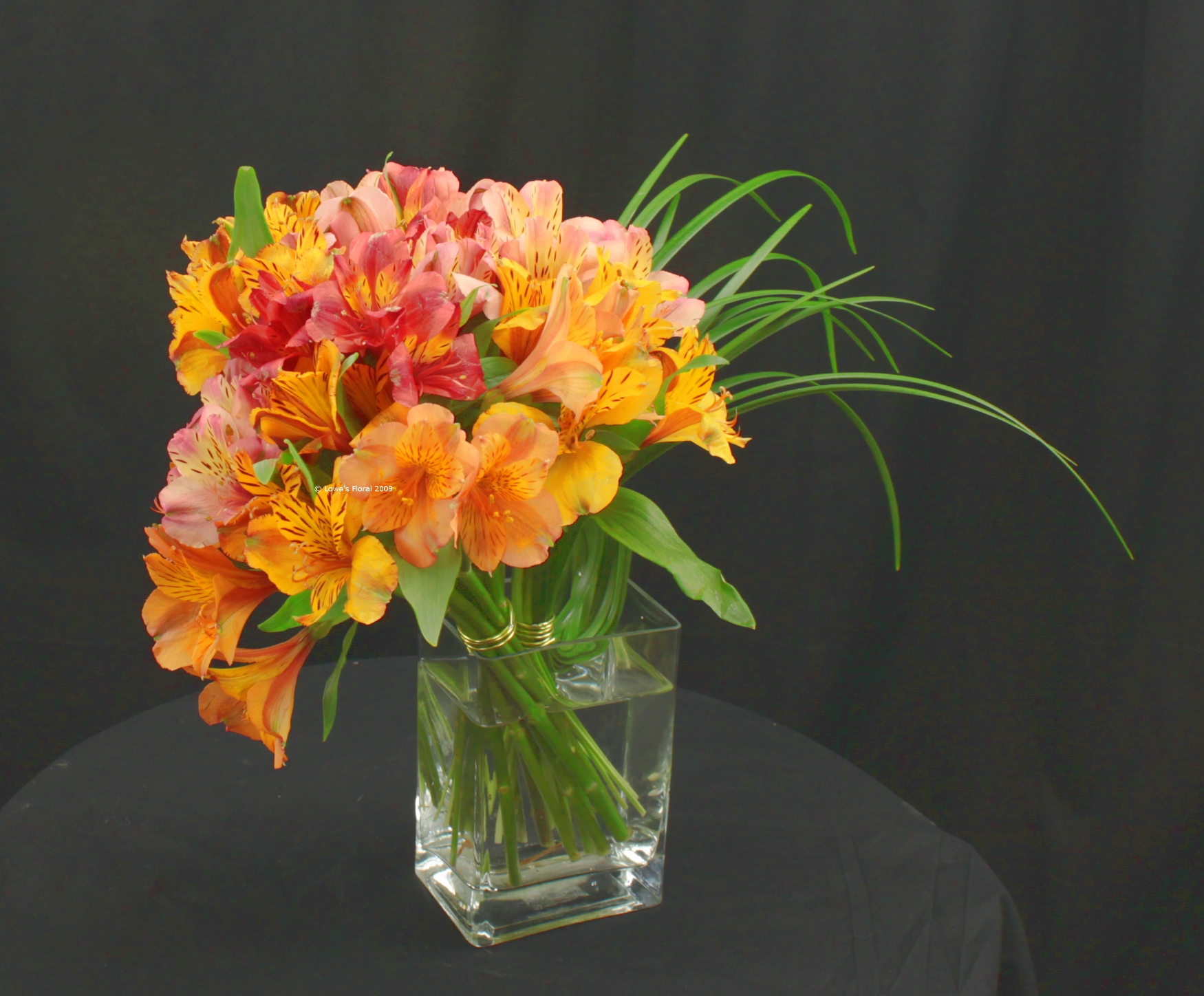 For a selection of get well flowers and bouquets for the hospital, click here.  Lowe's Floral delivers daily to Trinity Hospital and St Joe's Hospital. 