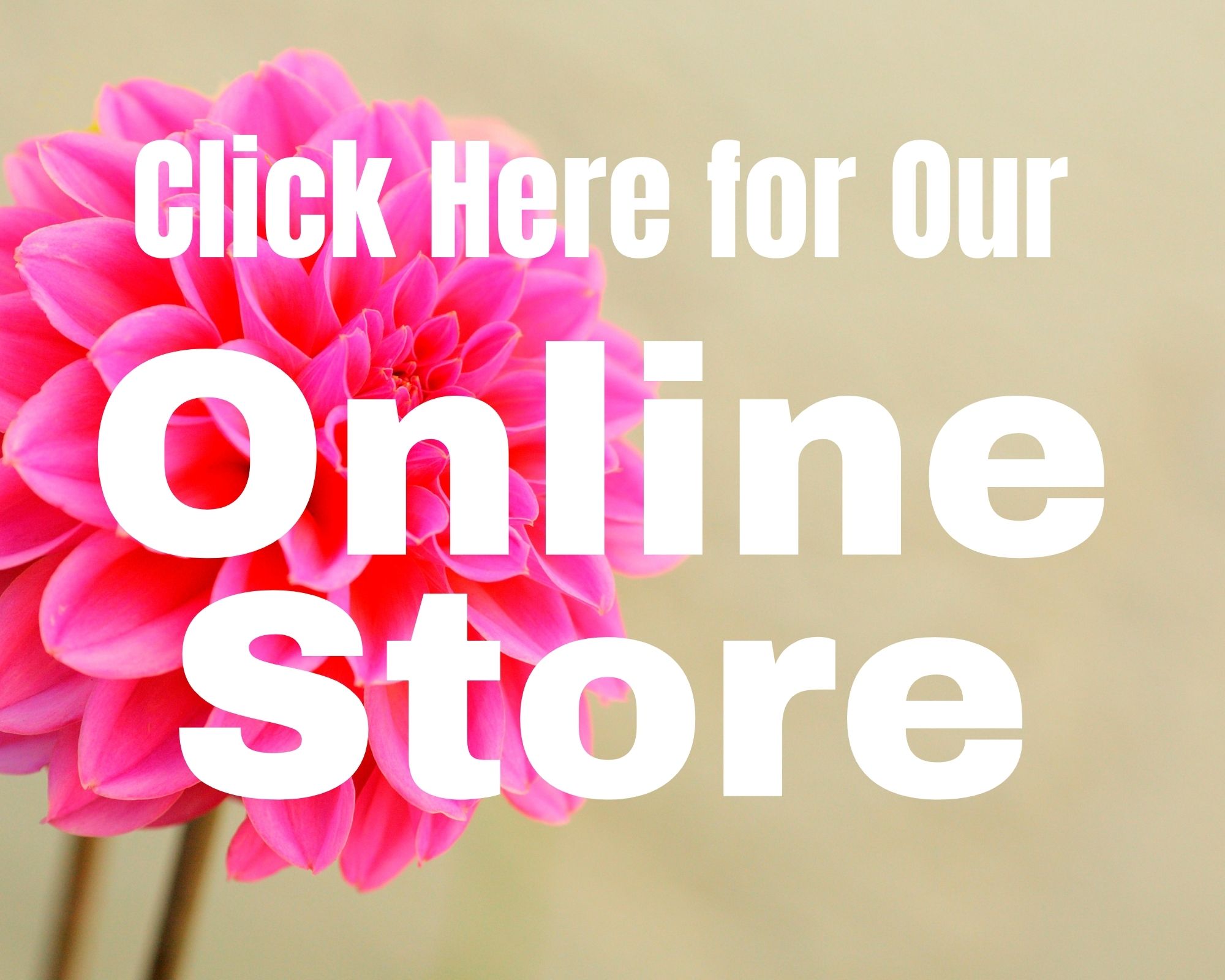 Click here for our online store