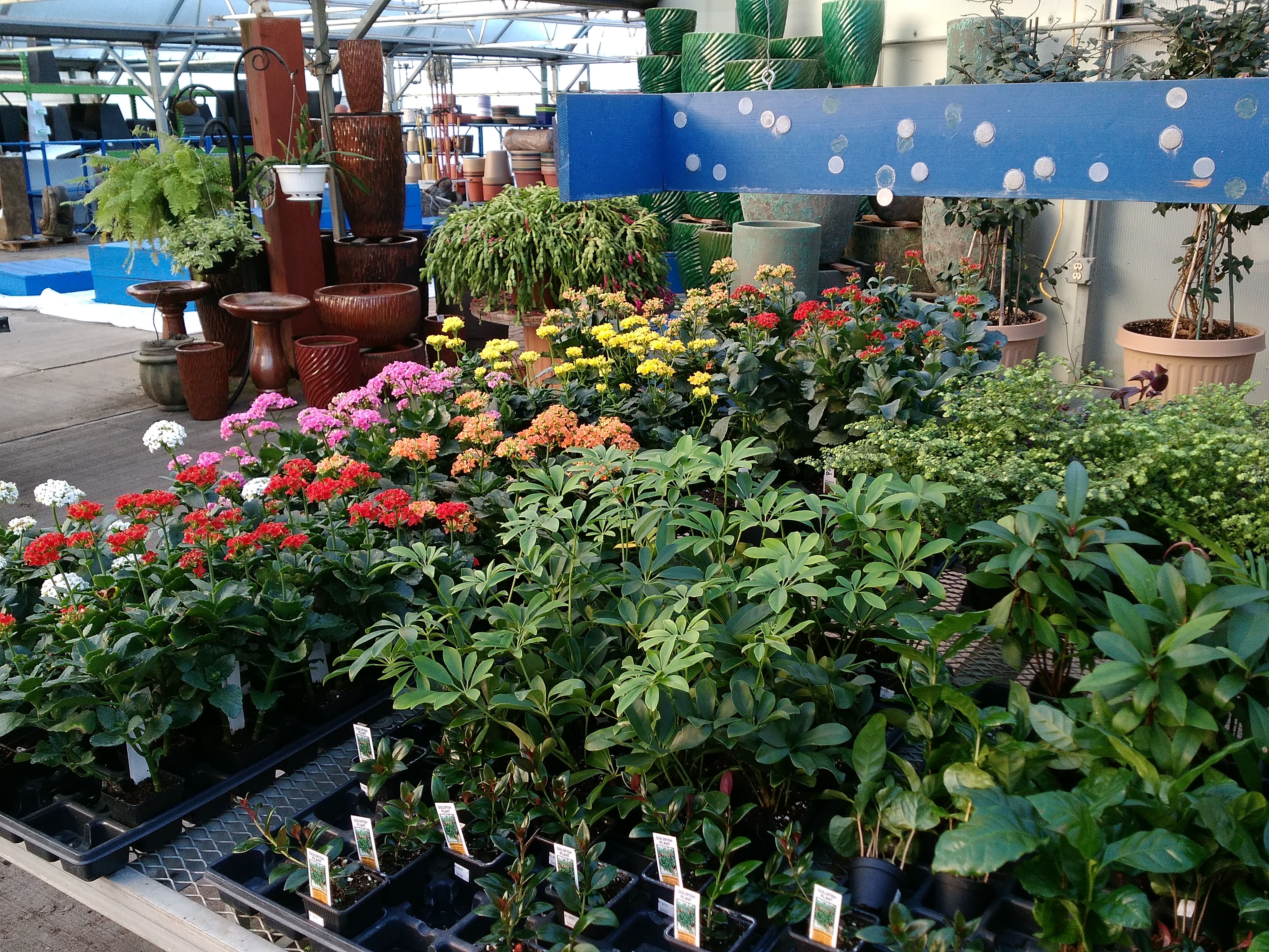 Weekly Sale Items Lowe S Garden Center