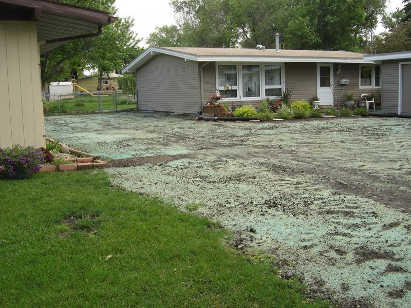 Lawns and Hydro Seeding :: Lowe's Garden Center