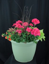 Lowes Large Mixed Annual Planter